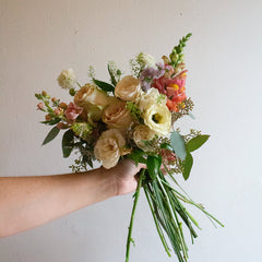 Collection image for: Flowers & Plants