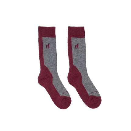 Alpaca Hiker Socks - Just Simcoe