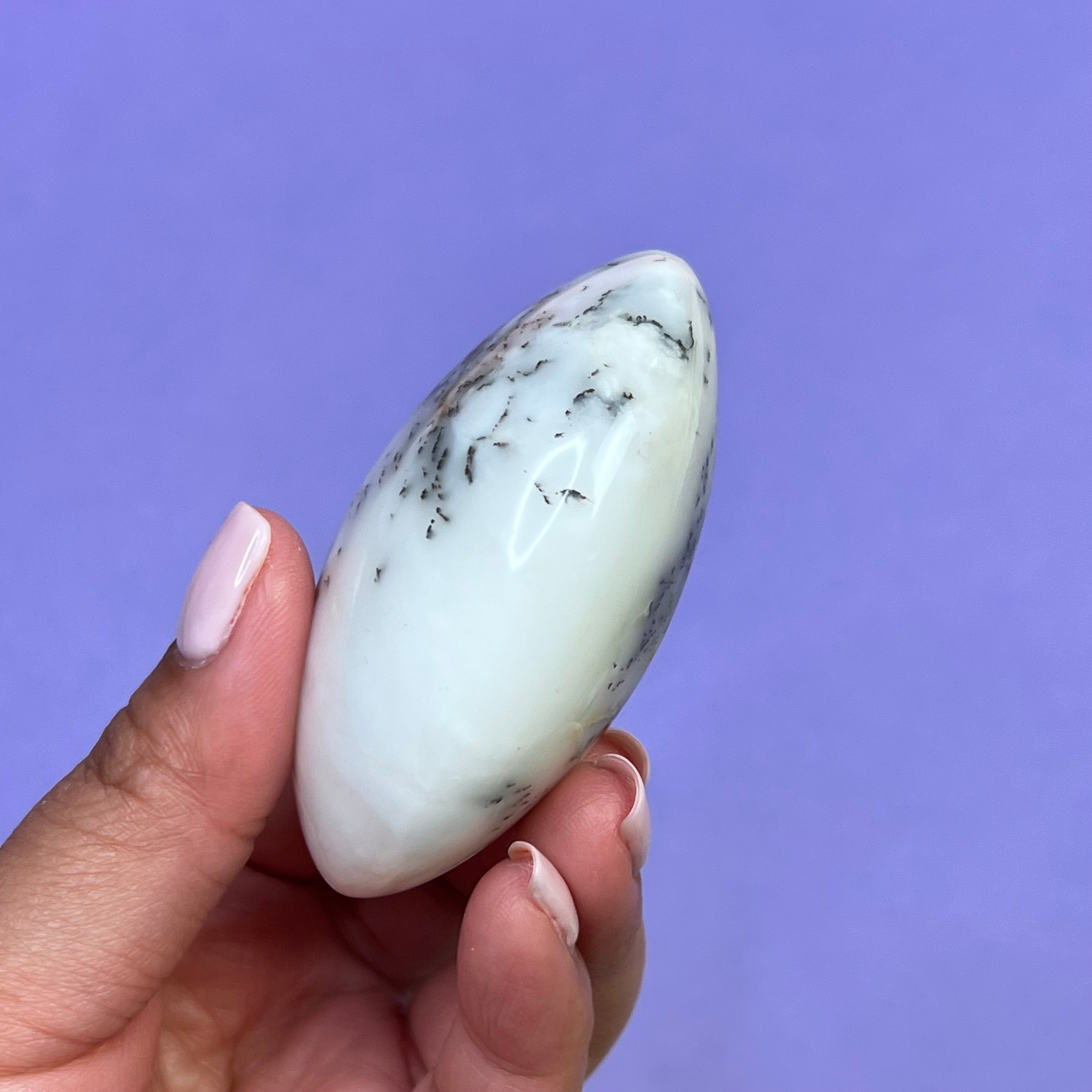 Dendritic White Opal Palm Stone | 1