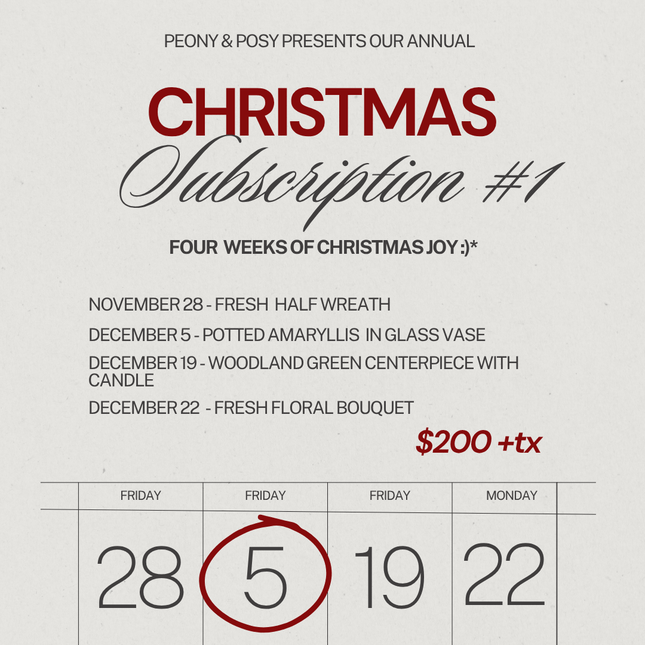 Peony & Posy - Christmas Subscription 1 - Just Simcoe