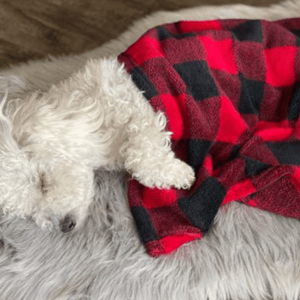 TTAILS PLAID BLANKET/BEAR SET 30"X40" - Just Simcoe