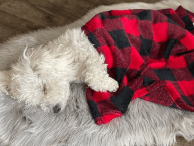 TTAILS PLAID BLANKET/BEAR SET 30"X40" - Just Simcoe