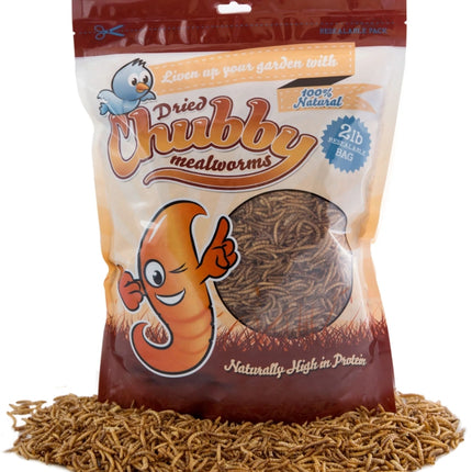Chubby Dried Mealworms-2 LBS