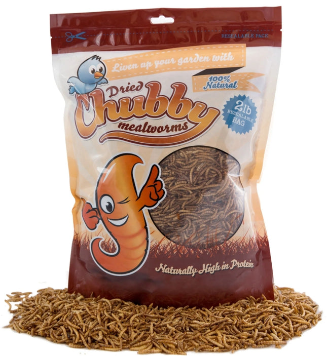 Chubby Dried Mealworms-2 LBS