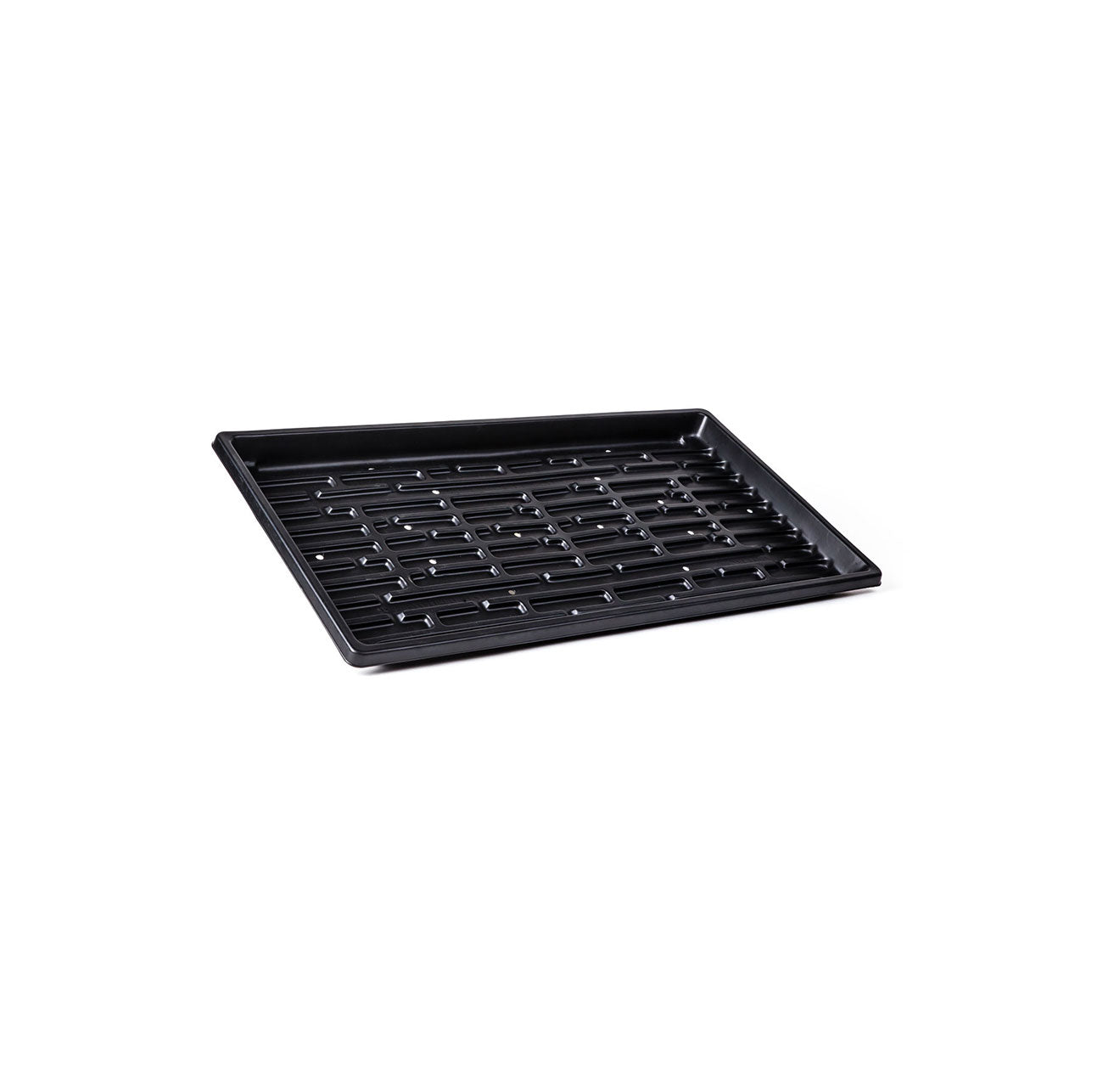 Double Thick 1.25" Deep Microgreen Tray 1020 with holes