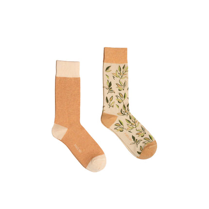 Olive Pima Cotton Socks 2-Pack