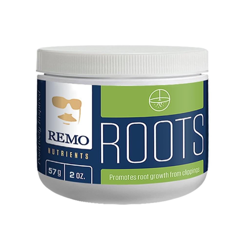 Remo Roots