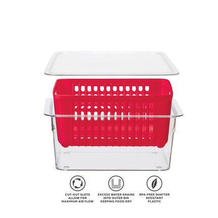 Oggi Single Berry Bin