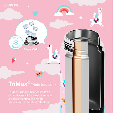 Ecovessel Kids Water Bottle
