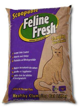 FELINE FRESH PINE LITTER 34LB