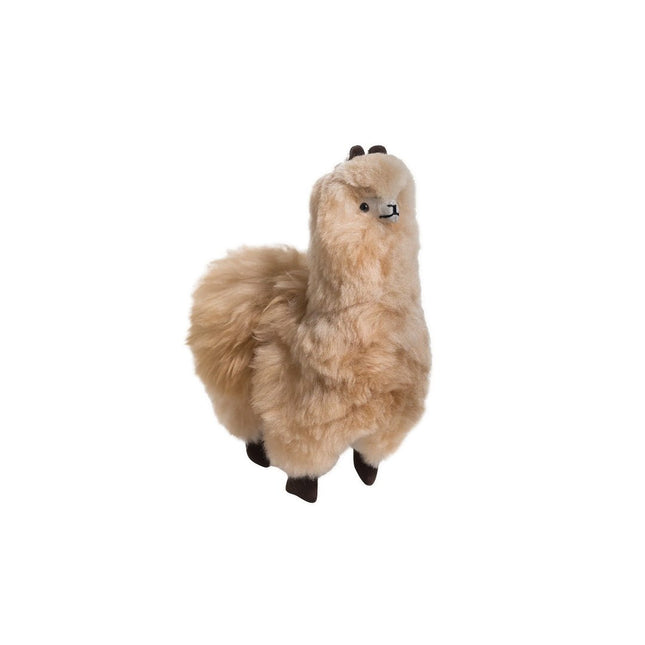 Standing Alpaca - Just Simcoe