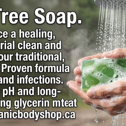 Tea Tree Glycerin Soap bar. 118ml - JustSimcoe.ca