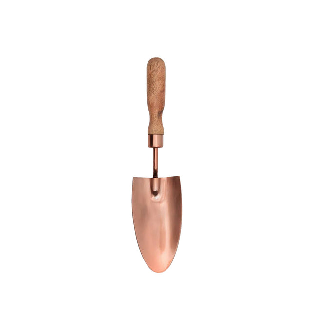 Dana Sharp Trowel