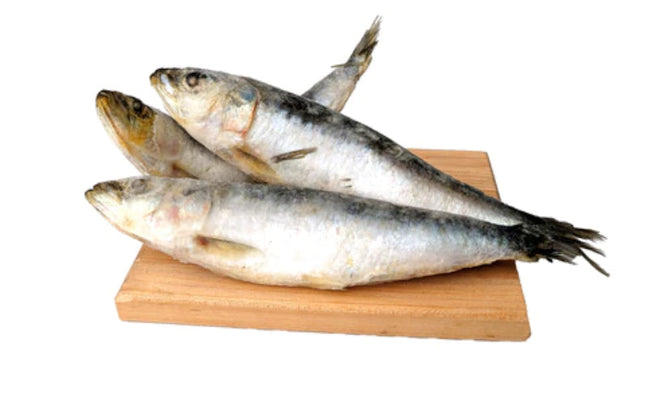 JUST RAW WHOLE SARDINES 3PC