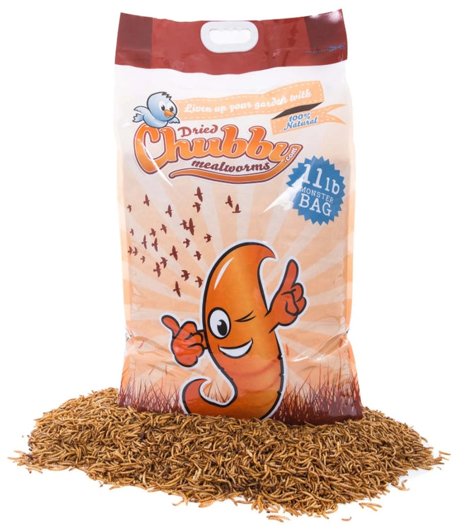 Chubby Dried Mealworms - 11 LBS